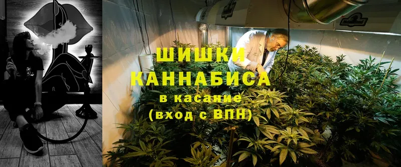 купить наркоту  Зубцов  Марихуана OG Kush 